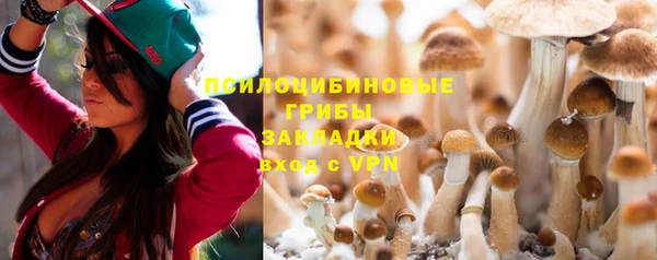 spice Алексин