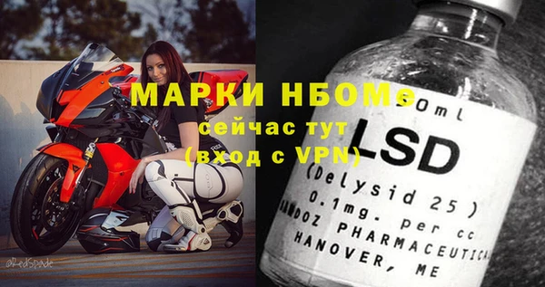индика Алзамай
