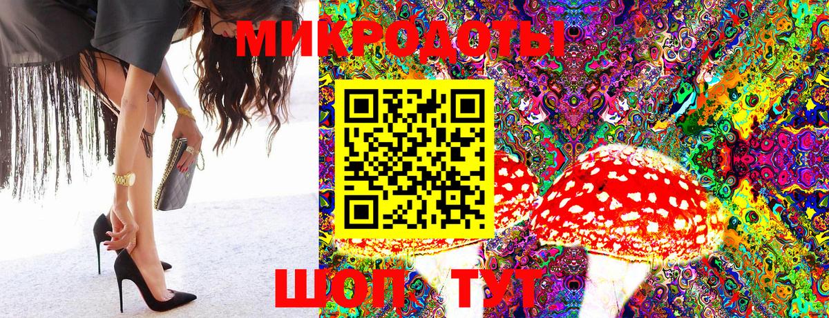 Псилоцибиновые грибы Psilocybine cubensis Менделеевск