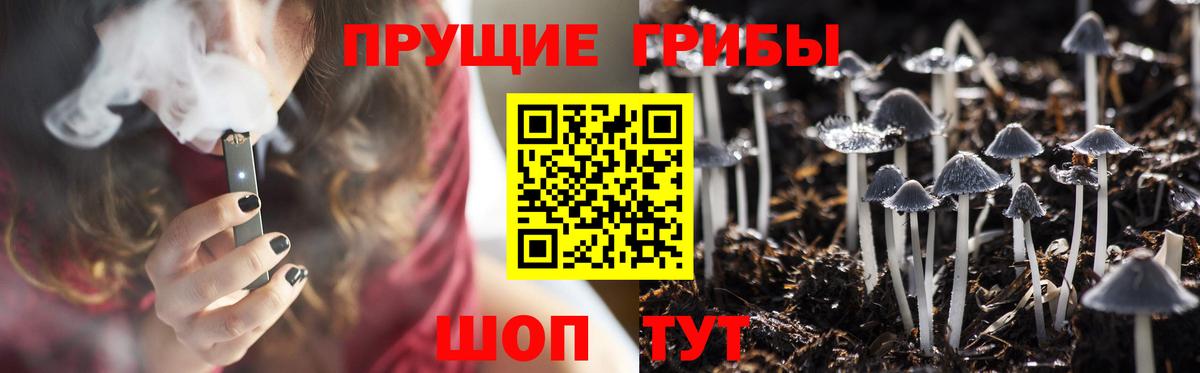 Менделеевск  Псилоцибиновые грибы мухоморы  Вход с VPN 